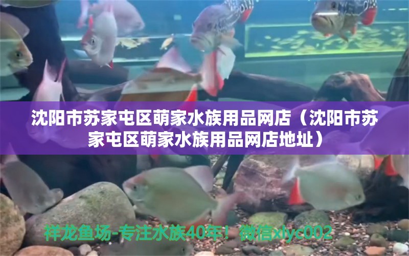 沈阳市苏家屯区萌家水族用品网店（沈阳市苏家屯区萌家水族用品网店地址）