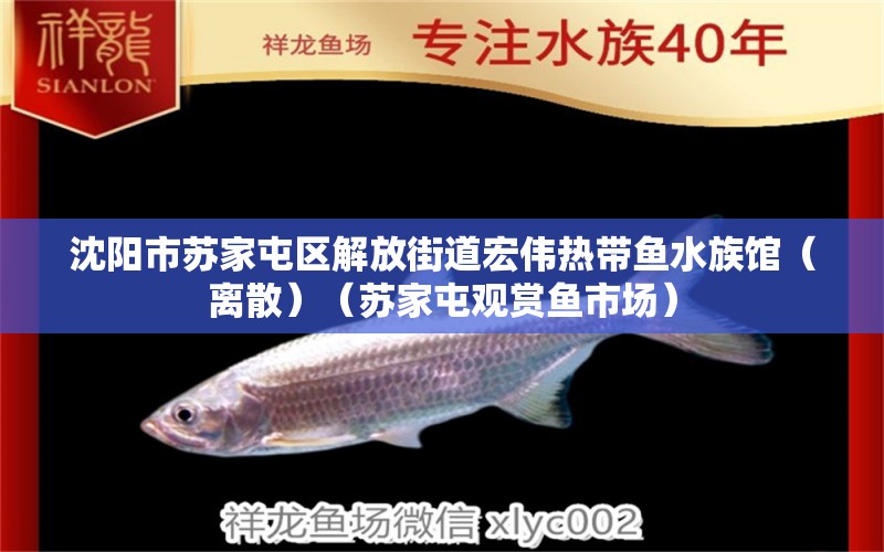 沈阳市苏家屯区解放街道宏伟热带鱼水族馆（离散）（苏家屯观赏鱼市场）