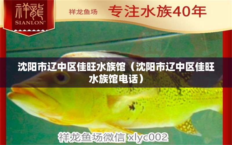 沈阳市辽中区佳旺水族馆（沈阳市辽中区佳旺水族馆电话）