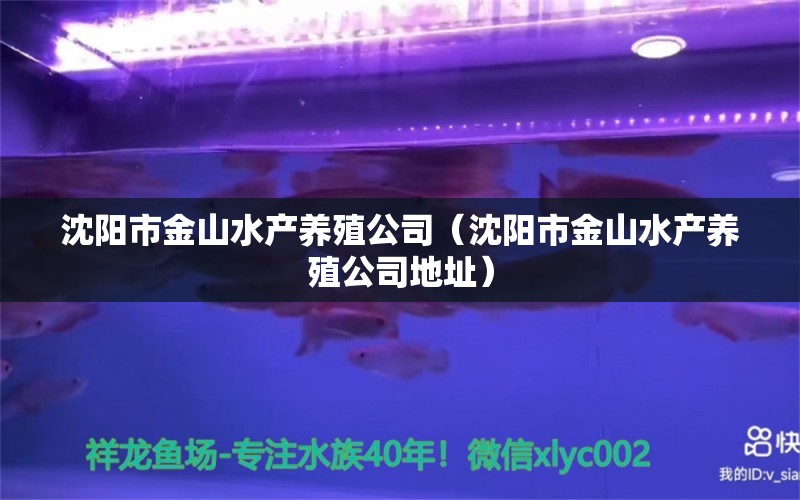 沈阳市金山水产养殖公司（沈阳市金山水产养殖公司地址） 全国水族馆企业名录