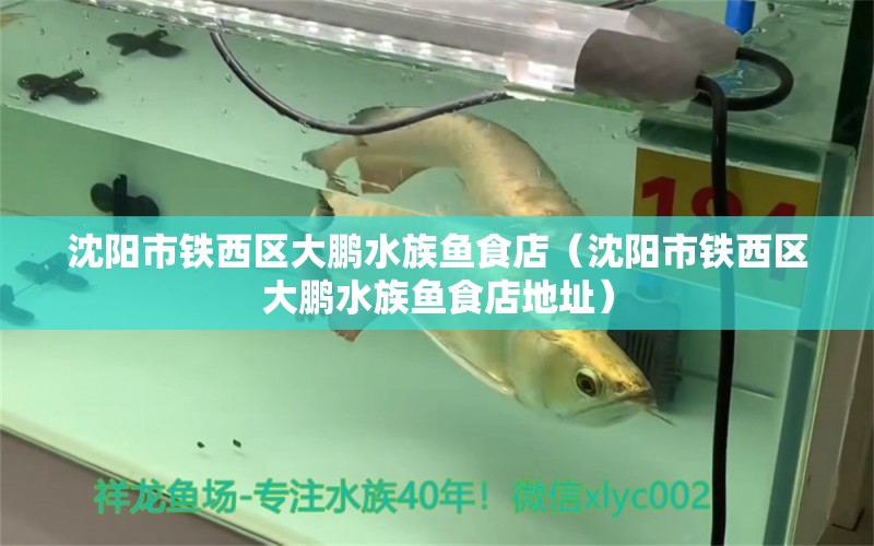 沈阳市铁西区大鹏水族鱼食店（沈阳市铁西区大鹏水族鱼食店地址）