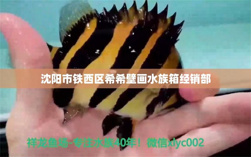 沈阳市铁西区希希壁画水族箱经销部 鱼缸/水族箱