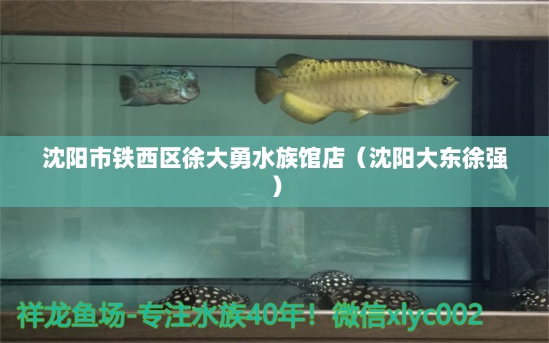 沈阳市铁西区徐大勇水族馆店（沈阳大东徐强）