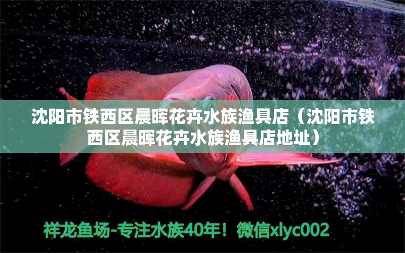 沈阳市铁西区晨晖花卉水族渔具店（沈阳市铁西区晨晖花卉水族渔具店地址）