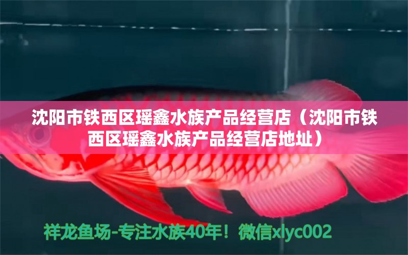 沈阳市铁西区瑶鑫水族产品经营店（沈阳市铁西区瑶鑫水族产品经营店地址）