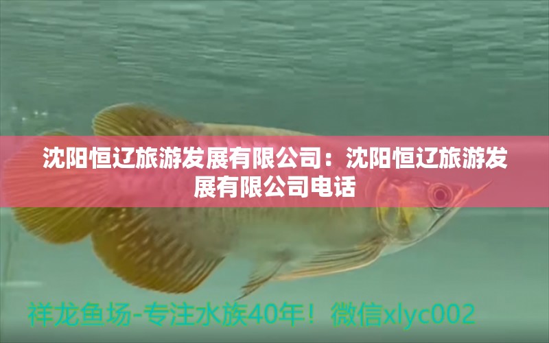 沈阳恒辽旅游发展有限公司：沈阳恒辽旅游发展有限公司电话 全国水族馆企业名录