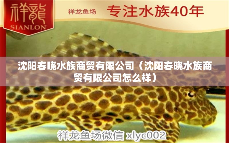 沈阳春晓水族商贸有限公司（沈阳春晓水族商贸有限公司怎么样）