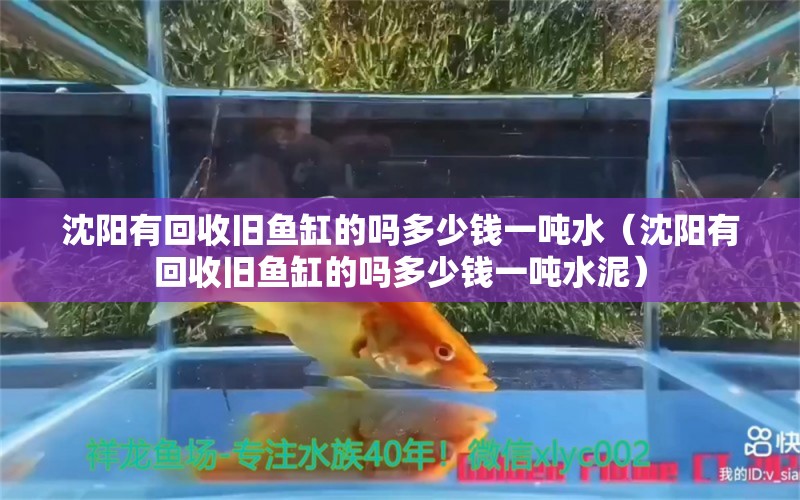 沈阳有回收旧鱼缸的吗多少钱一吨水（沈阳有回收旧鱼缸的吗多少钱一吨水泥）