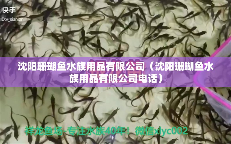 沈阳珊瑚鱼水族用品有限公司（沈阳珊瑚鱼水族用品有限公司电话）