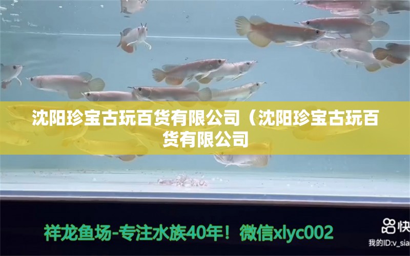 沈阳珍宝古玩百货有限公司（沈阳珍宝古玩百货有限公司