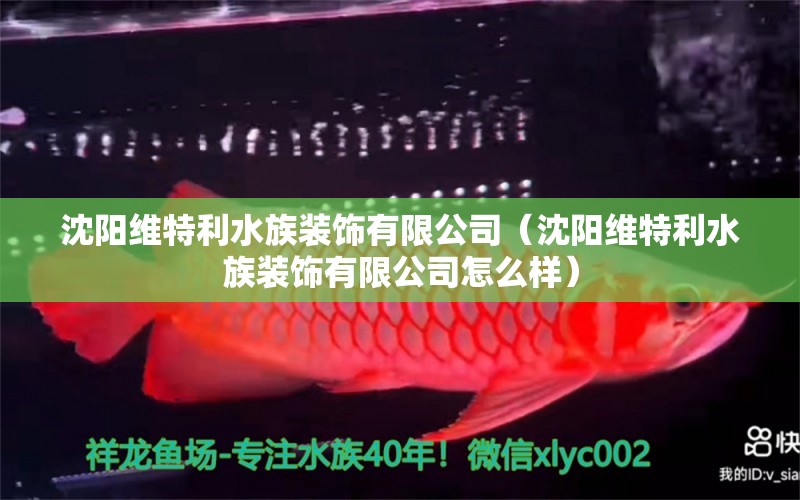 沈阳维特利水族装饰有限公司（沈阳维特利水族装饰有限公司怎么样） 全国水族馆企业名录