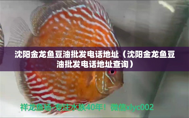 沈阳金龙鱼豆油批发电话地址（沈阳金龙鱼豆油批发电话地址查询）