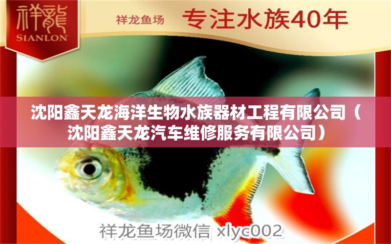 沈阳鑫天龙海洋生物水族器材工程有限公司（沈阳鑫天龙汽车维修服务有限公司）