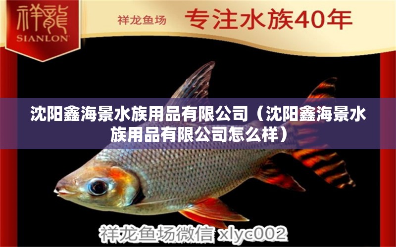 沈阳鑫海景水族用品有限公司（沈阳鑫海景水族用品有限公司怎么样）