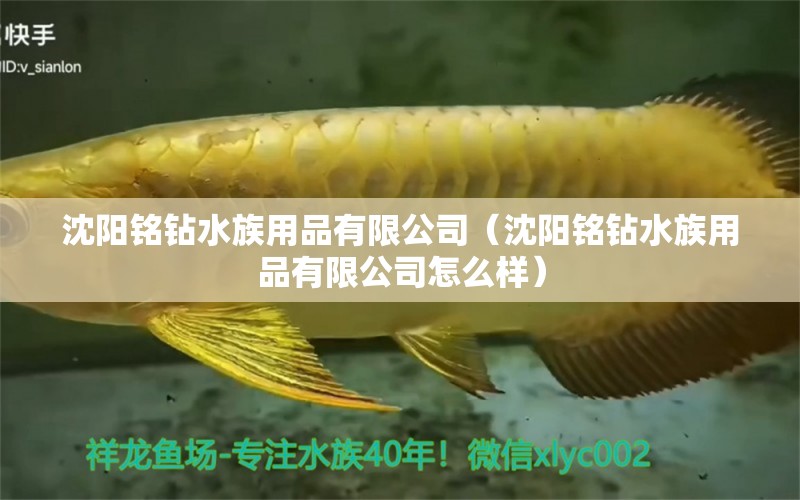 沈阳铭钻水族用品有限公司（沈阳铭钻水族用品有限公司怎么样） 水族用品