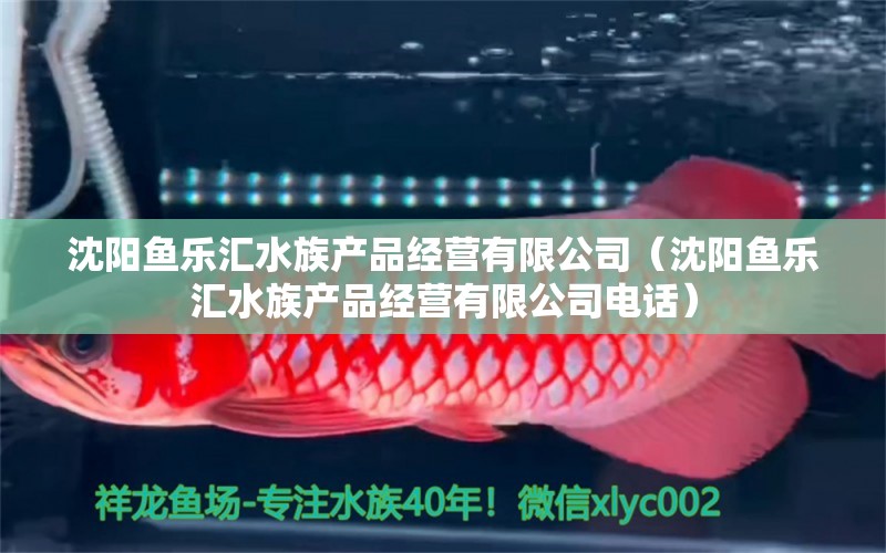 沈阳鱼乐汇水族产品经营有限公司（沈阳鱼乐汇水族产品经营有限公司电话） 全国水族馆企业名录