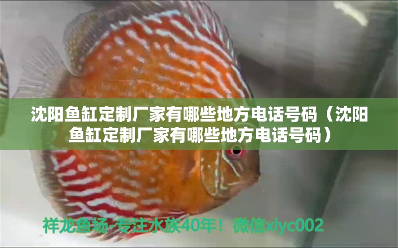 沈阳鱼缸定制厂家有哪些地方电话号码（沈阳鱼缸定制厂家有哪些地方电话号码）