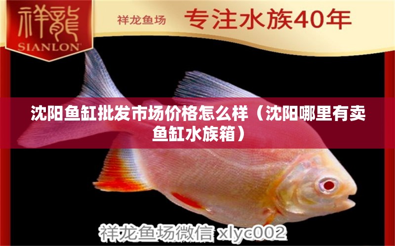 沈阳鱼缸批发市场价格怎么样（沈阳哪里有卖鱼缸水族箱） 马来西亚猫山王榴莲