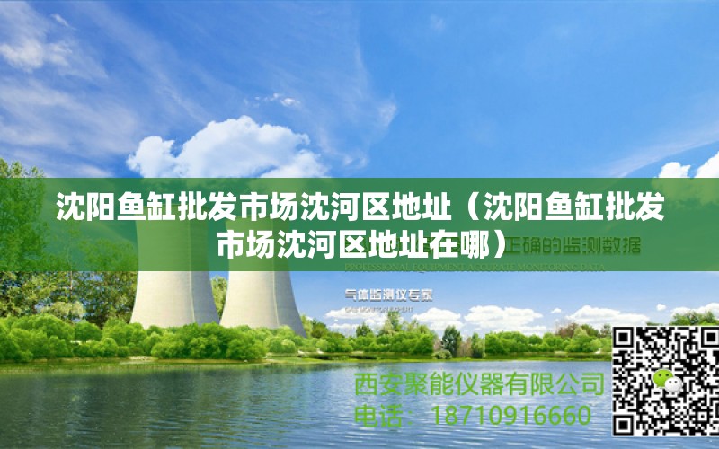 沈阳鱼缸批发市场沈河区地址（沈阳鱼缸批发市场沈河区地址在哪）