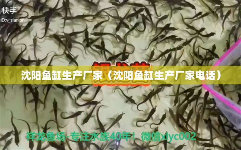 沈阳鱼缸生产厂家（沈阳鱼缸生产厂家电话） 其他品牌鱼缸