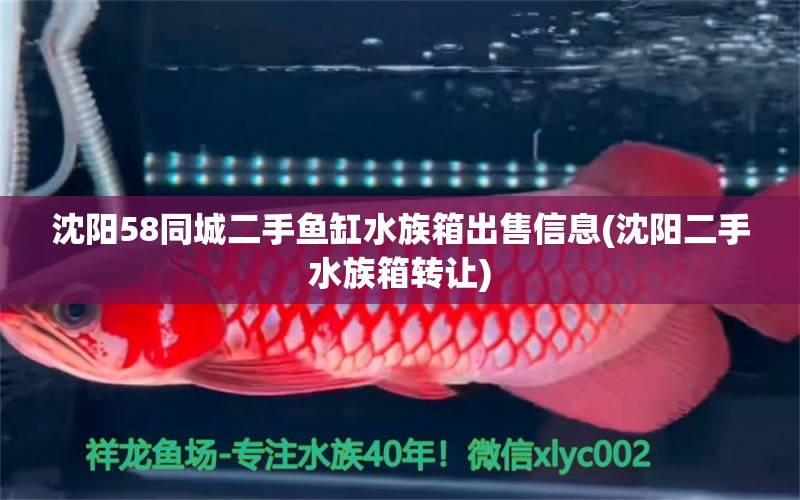 沈阳58同城二手鱼缸水族箱出售信息(沈阳二手水族箱转让) 鱼缸/水族箱