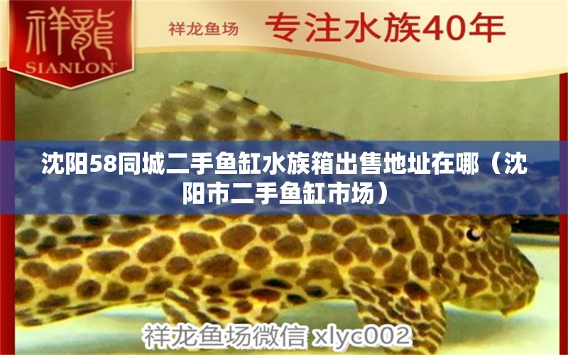 沈阳58同城二手鱼缸水族箱出售地址在哪（沈阳市二手鱼缸市场） 鱼缸/水族箱