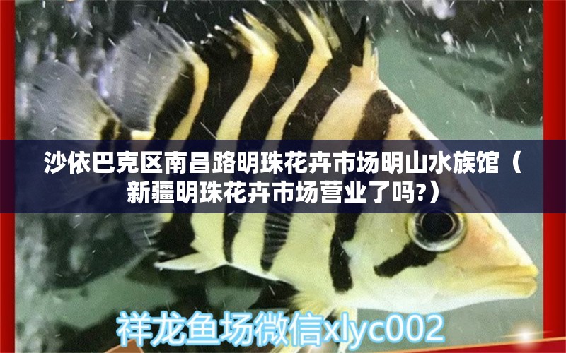 沙依巴克区南昌路明珠花卉市场明山水族馆（新疆明珠花卉市场营业了吗?） 全国水族馆企业名录