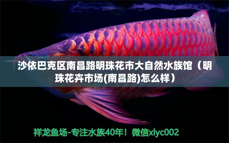 沙依巴克区南昌路明珠花市大自然水族馆（明珠花卉市场(南昌路)怎么样）