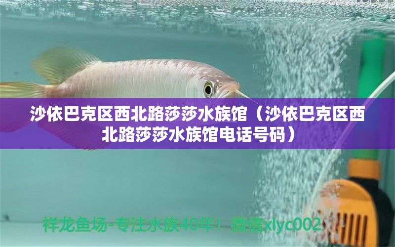 沙依巴克区西北路莎莎水族馆（沙依巴克区西北路莎莎水族馆电话号码）