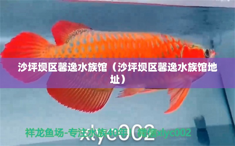 沙坪坝区馨逸水族馆（沙坪坝区馨逸水族馆地址） 全国水族馆企业名录