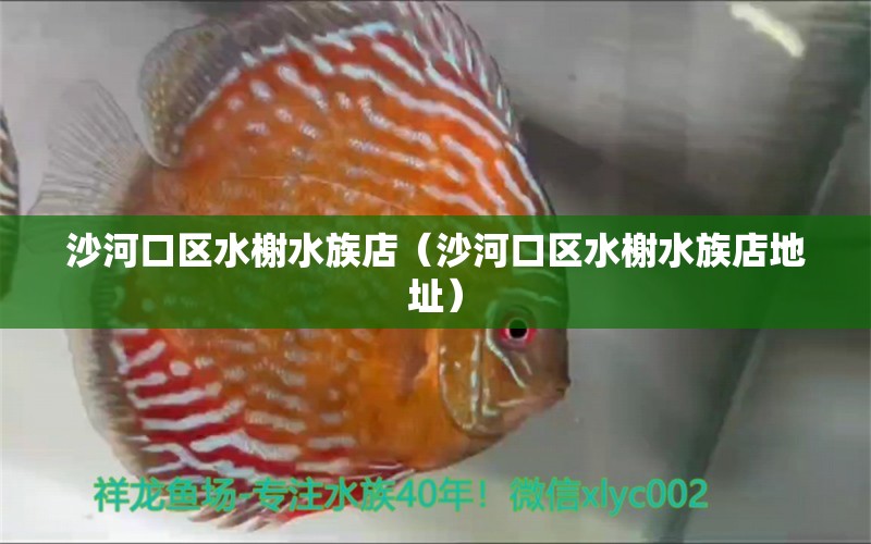 沙河口区水榭水族店（沙河口区水榭水族店地址） 全国水族馆企业名录