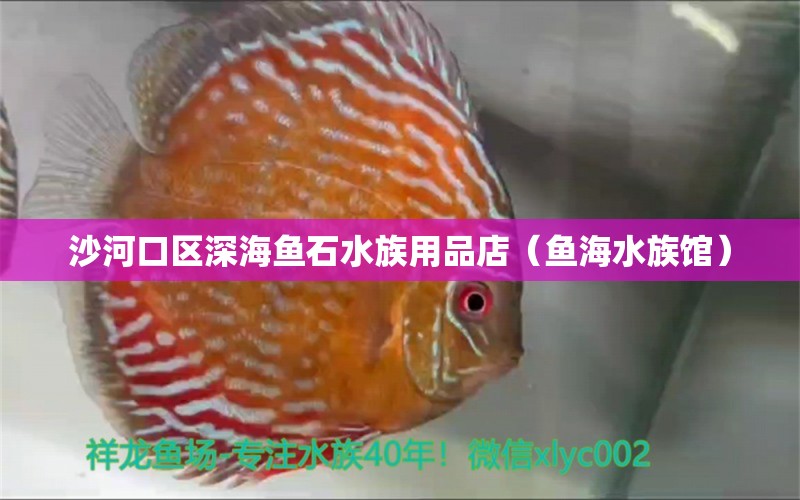 沙河口区深海鱼石水族用品店（鱼海水族馆） 水族用品