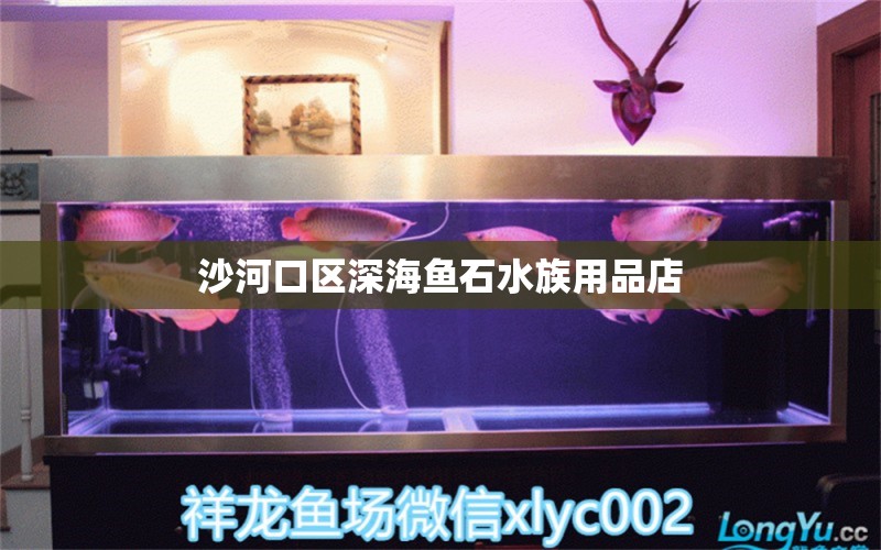 沙河口区深海鱼石水族用品店