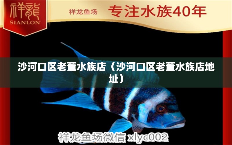 沙河口区老董水族店（沙河口区老董水族店地址） 全国水族馆企业名录