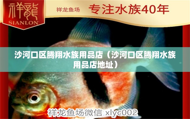 沙河口区腾翔水族用品店（沙河口区腾翔水族用品店地址） 水族用品