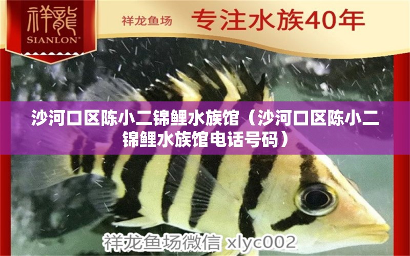 沙河口区陈小二锦鲤水族馆（沙河口区陈小二锦鲤水族馆电话号码）