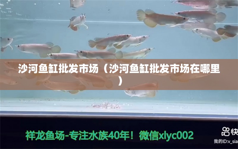 沙河鱼缸批发市场（沙河鱼缸批发市场在哪里） 水族维护服务（上门）