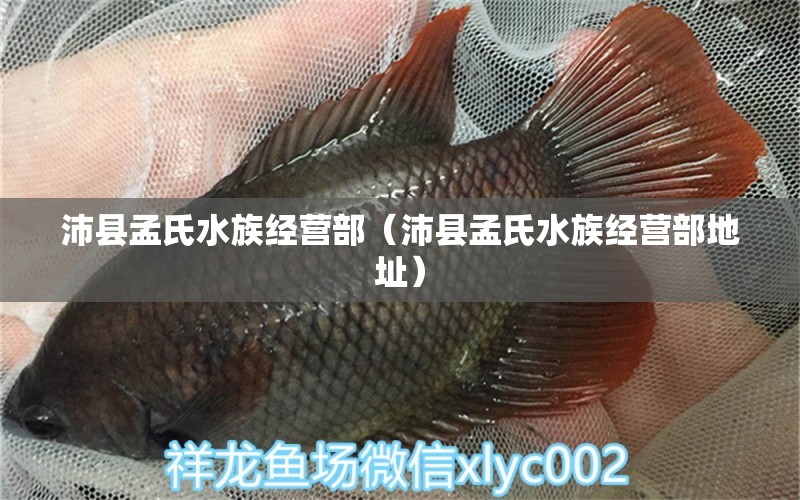 沛县孟氏水族经营部（沛县孟氏水族经营部地址） 全国水族馆企业名录