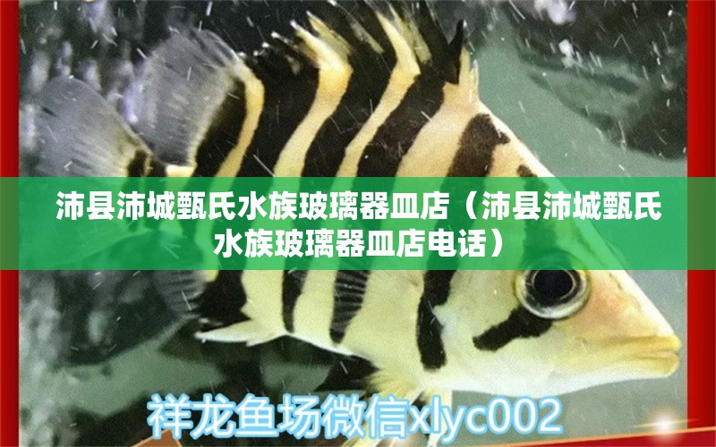 沛县沛城甄氏水族玻璃器皿店（沛县沛城甄氏水族玻璃器皿店电话） 全国水族馆企业名录