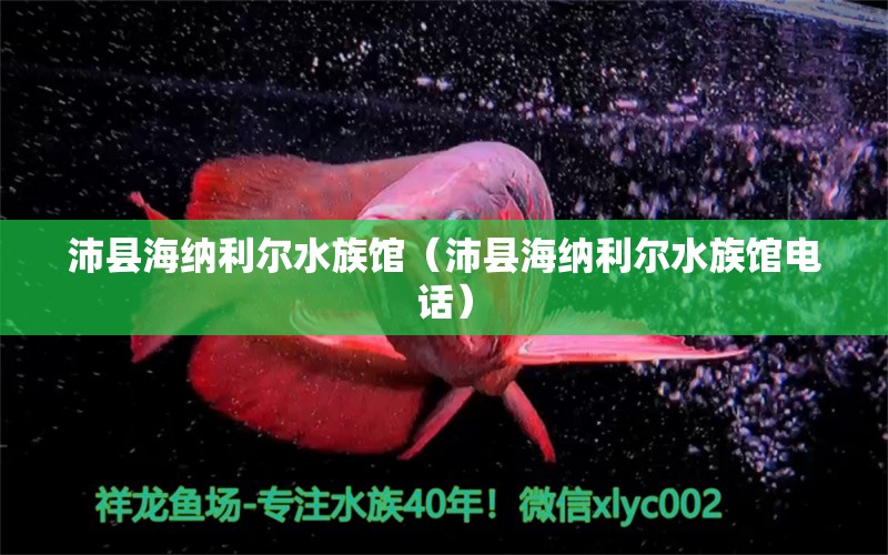 沛县海纳利尔水族馆（沛县海纳利尔水族馆电话） 全国水族馆企业名录