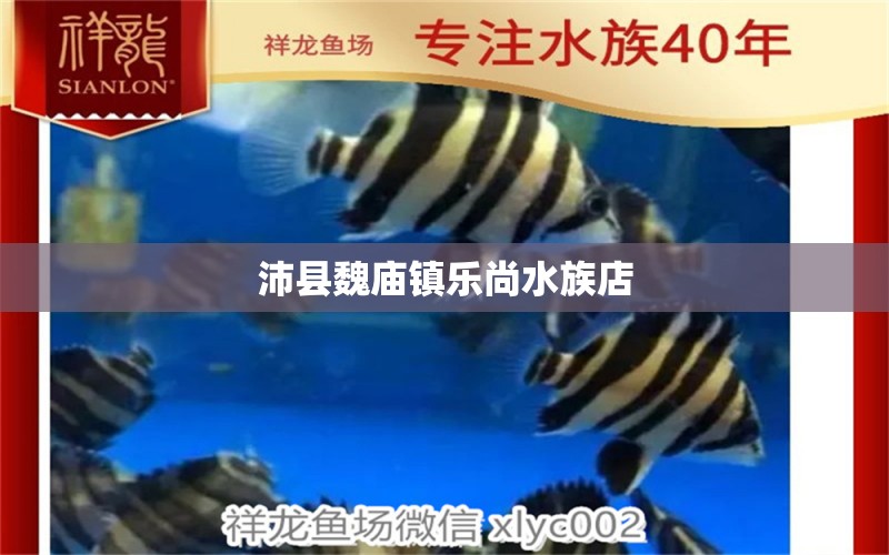 沛县魏庙镇乐尚水族店 全国水族馆企业名录