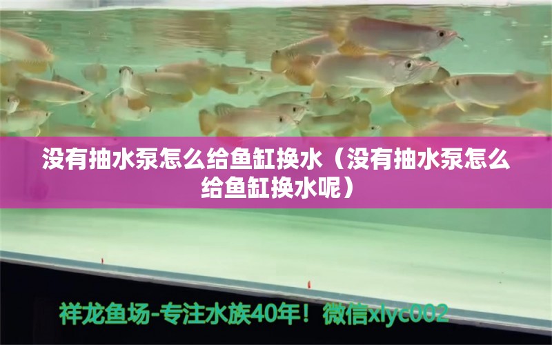 没有抽水泵怎么给鱼缸换水（没有抽水泵怎么给鱼缸换水呢） 祥龙水族医院