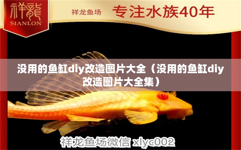 没用的鱼缸diy改造图片大全（没用的鱼缸diy改造图片大全集） 白子黄化银龙鱼