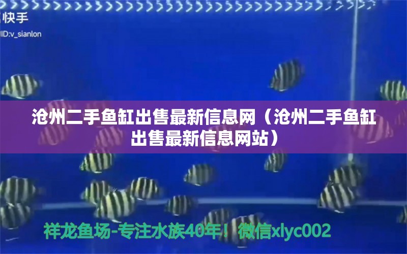 沧州二手鱼缸出售最新信息网（沧州二手鱼缸出售最新信息网站）