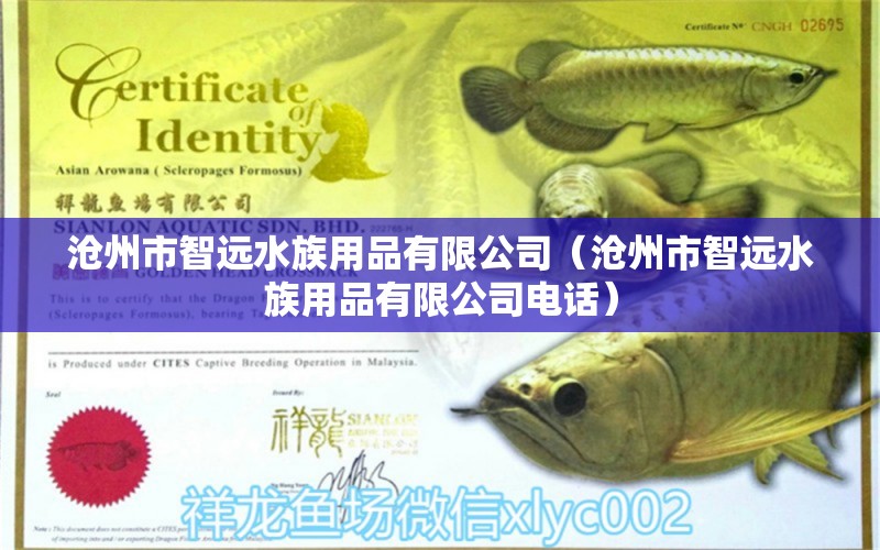 沧州市智远水族用品有限公司（沧州市智远水族用品有限公司电话）