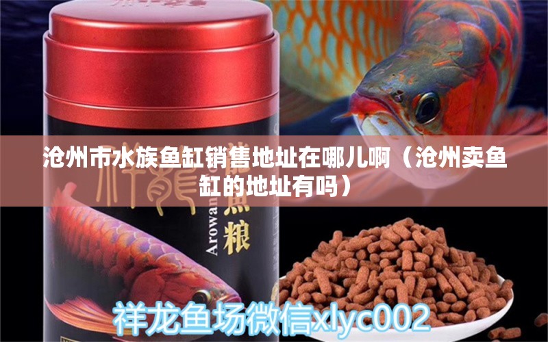 沧州市水族鱼缸销售地址在哪儿啊（沧州卖鱼缸的地址有吗） 养鱼知识 第1张