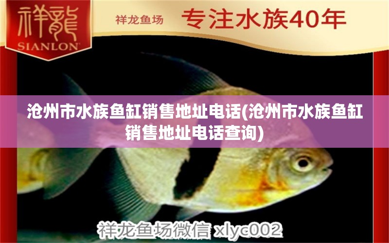 沧州市水族鱼缸销售地址电话(沧州市水族鱼缸销售地址电话查询) 蓝底过背金龙鱼