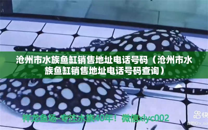 沧州市水族鱼缸销售地址电话号码（沧州市水族鱼缸销售地址电话号码查询）