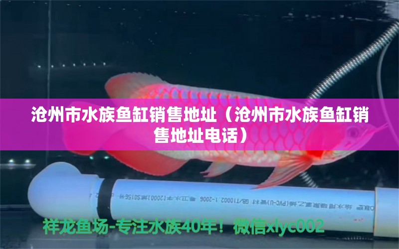 沧州市水族鱼缸销售地址（沧州市水族鱼缸销售地址电话） 其他品牌鱼缸