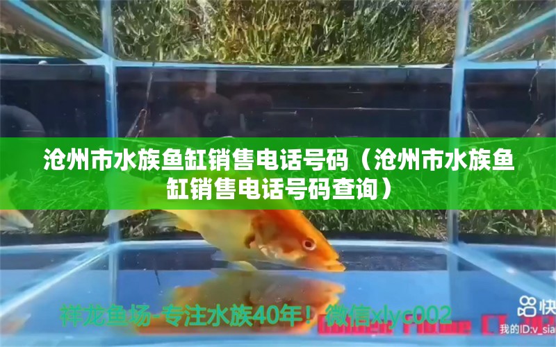 沧州市水族鱼缸销售电话号码（沧州市水族鱼缸销售电话号码查询）